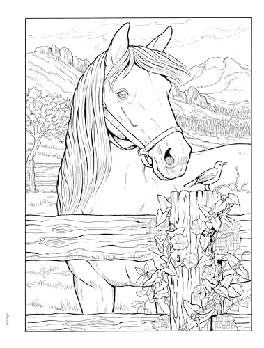 Adult Coloring Great Horses Coloring Book (Adult Coloring Books: Animals) - Image 4