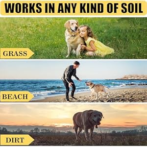   Heavy-Duty-Dog-Tie-Out-Stake-with-10FT-Dog-Cable-for-Large-Dog-Up-to-150-Lbs-Spiral-Dog-Stake-for-Outside-Easy-to-Install-360-Swivel-Dog-Stake-for-Yard-Camping-Beach