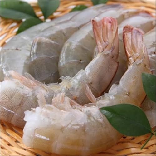 oiCCV 1.8kg×6(31^40E124`160)y NxێubN zƖpсyⓀցz