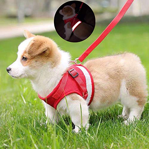 Image of FEimaX Dog Harness and Leash Set for Walking, Soft Mesh Adjustable Easy Control Lightweight Cat Vest Harnesses with Reflective Strips, Escape Proof Small Dogs Cats Vests (Red, Large)