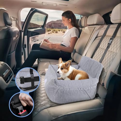 CALIYO Hundeautositz mit Stabiler Basis & Sicherheitsgurt | Hundesitz Auto für Kleine bis 10 kg | Memory Foam-Sitzauflage | Wasserdichter, Abwaschbarer Hundekorb mit Aufbewahrungstasche (Blau/Weiß)