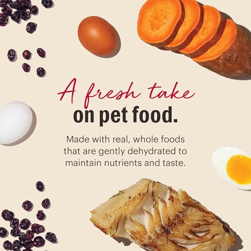 Image of The Honest Kitchen Human Grade Wholemade Dehydrated Dog Food, Grain Free Dog Food, Fish, 4 lb Box