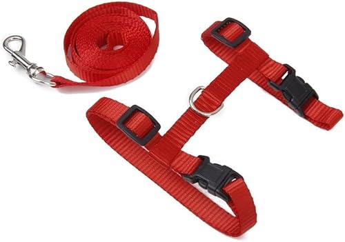 lRpn[lX[hZbg փZbg ()