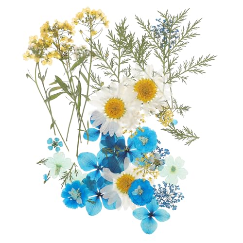 Flores secas prensadas para manualidades, 33 piezas miniatura 1