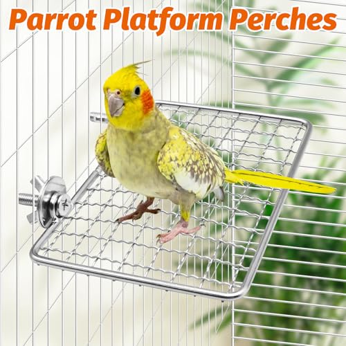 Image of BNOSDM Bird Perch Platform 2 Pcs Stainless Steel Grid Parrot Perches Stand Shelf Parrots Platform Perch Small Birds Cage Accessories for Parakeets, Budgies, Conures, Cockatiels, Lovebirds (S)