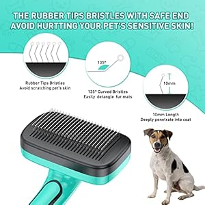Dog Brush for Shedding Long & Short Haired Dogs, Cat Self Cleaning Slicker Retractable Brush for Curly Straight Hair, Removes Loose Fur, Mats, Tangles from Animals & Pet's Coat, Aqua Green