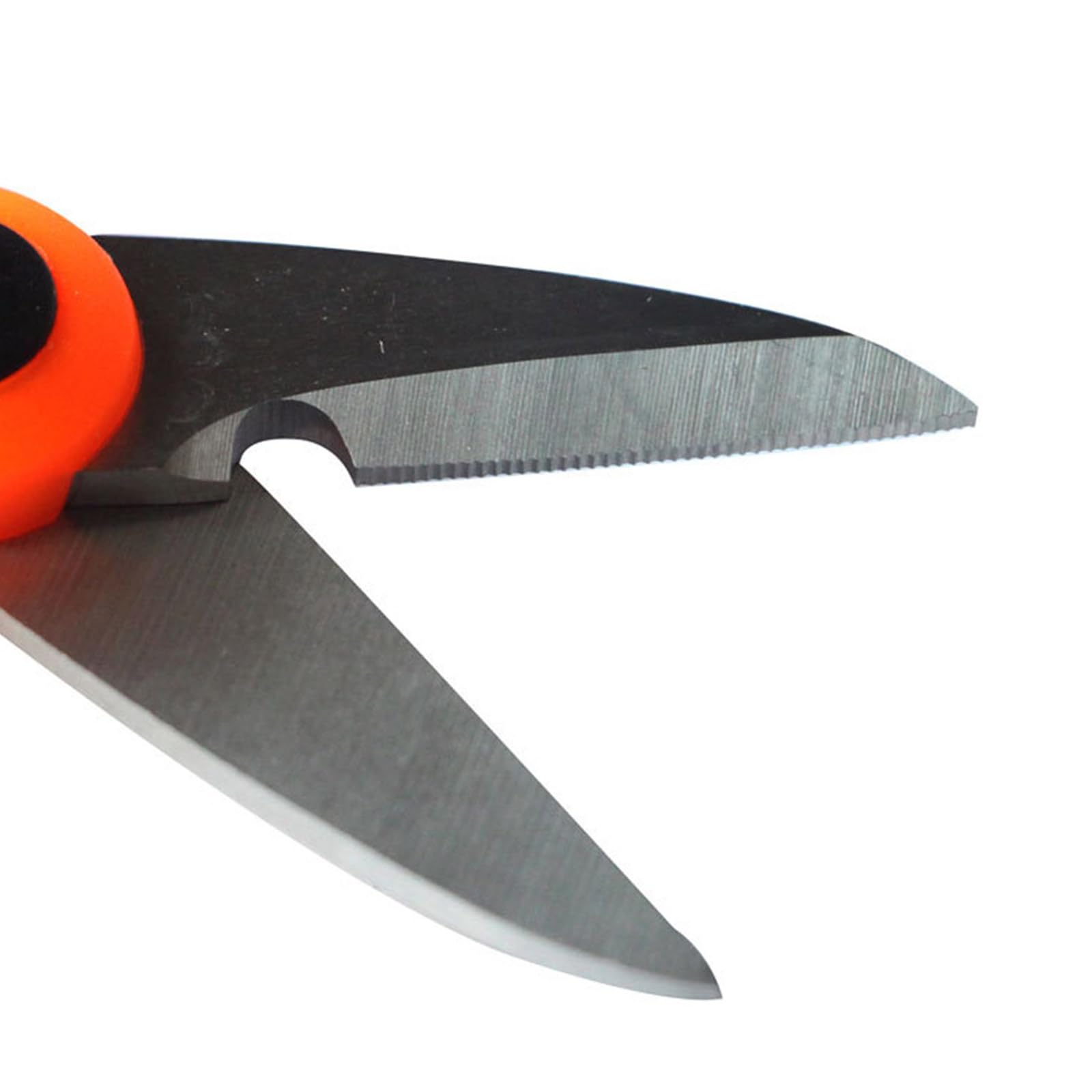 Coupe-ligne de pêche tressé multifonction en acier inoxydable, accessoire de pêche