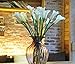 Meide Group USA Floral Kingdom 25