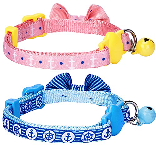 Blueberry Pet Pack of 2 Perfection Mix Match