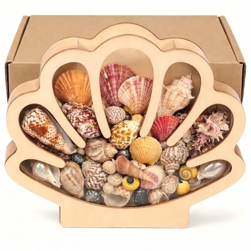 Seashell Display Case Wooden Sea Shell Holder with Acrylic Panel Storage Box for Shark Tooth Sea Glass Starfish Shells Collection Box Decorative Home Decor Christmas Birthday Gift