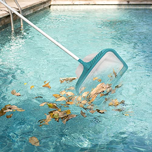 Schwimmende Käfer Im Pool Die 15 besten Produkte im Vergleich