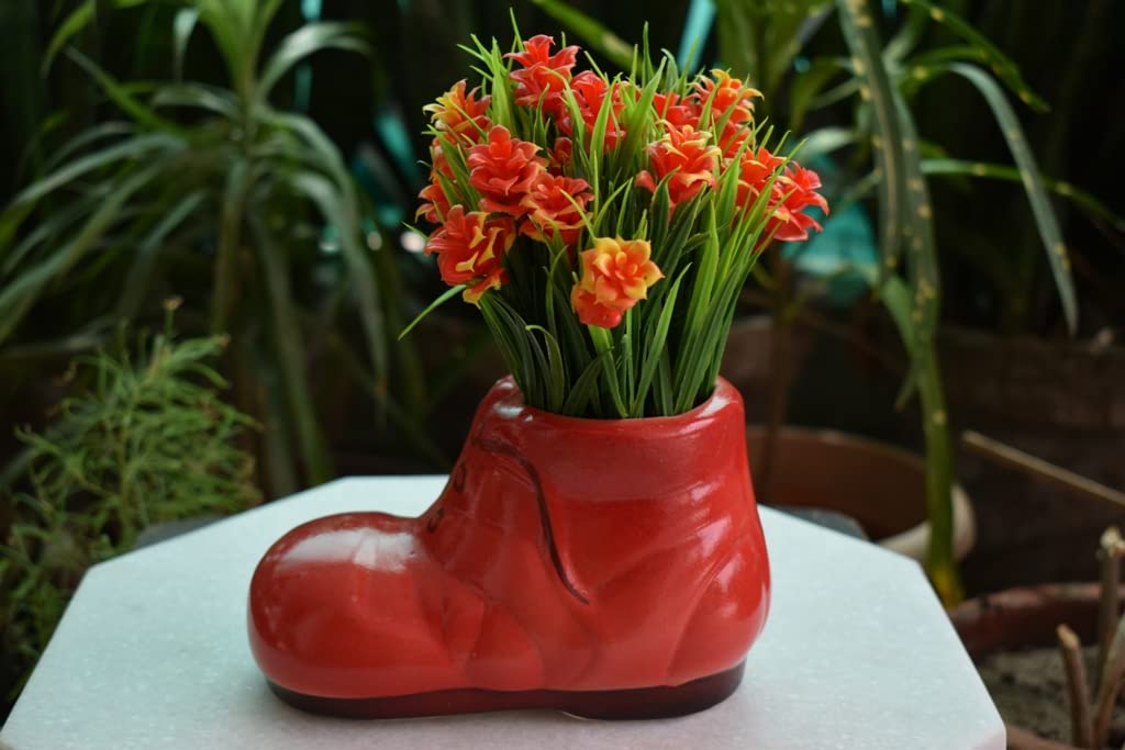 MARBOGLASS India Ceramic Pots for Plants Shoe Shape - Large Size (14.5 cm) Planters for Indoor Plants, Living Room. [Plant Not Included] (Red) (B0B2MLTJWK) Amazon Price History, Amazon Price Tracker