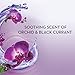 Olay Fresh Outlast Soothing Currant Beauty Bar, Orchid and Black, 4 Count, Packaging May Vary
