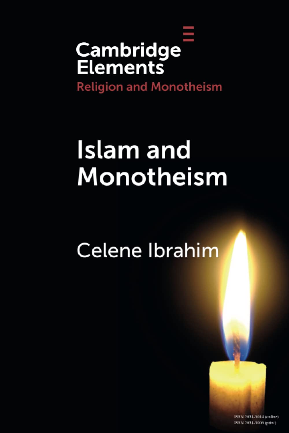 Islam and Monotheism (Elements in Religion and Monotheism)