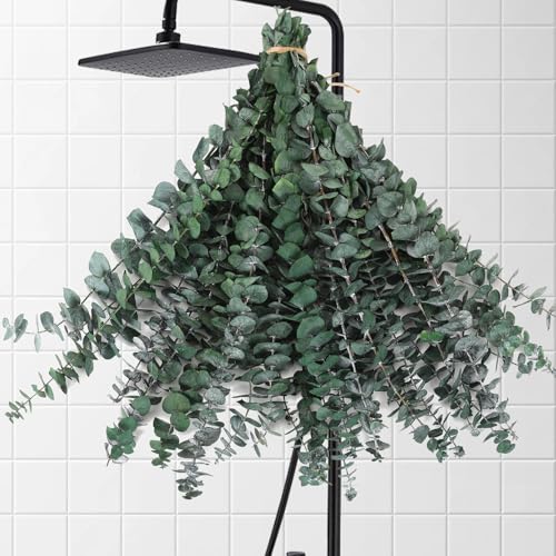 Image of 30 Pcs Dried Eucalyptus Stems for Shower, 17'' Natural Real Live Eucalyptus Leaves Branches Hanging Shower Plant for SPA Home Fragrance Bathroom Table Vase Decor