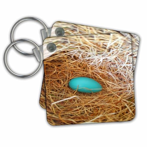 Llavero de petirrojo en pack de dos unidades para regalar a familiares