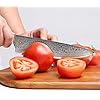 Chef-Knife-8-Inch-Damascus-Chefs-Knife-Japanese-VG10-Kitchen-Knife-Sharpest-67-Layer-High-Carbon-Stainless-Steel-knife-Cooking-Knife-Meat-Cutting-Gyuto-Chef-Knife-with-Sheathtype-1 Chef Knife 8 Inch Damascus Chefs Knife Japanese VG10 Kitchen Knife Sharpest 67-Layer High Carbon Stainless Steel knife Cooking Knife, Meat Cutting Gyuto Chef Knife with Sheath(type 1)