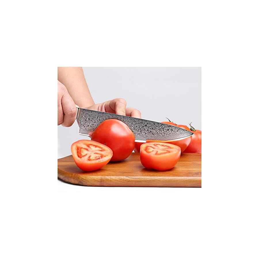 Chef-Knife-8-Inch-Damascus-Chefs-Knife-Japanese-VG10-Kitchen-Knife-Sharpest-67-Layer-High-Carbon-Stainless-Steel-knife-Cooking-Knife-Meat-Cutting-Gyuto-Chef-Knife-with-Sheathtype-1 Chef Knife 8 Inch Damascus Chefs Knife Japanese VG10 Kitchen Knife Sharpest 67-Layer High Carbon Stainless Steel knife Cooking Knife, Meat Cutting Gyuto Chef Knife with Sheath(type 1)