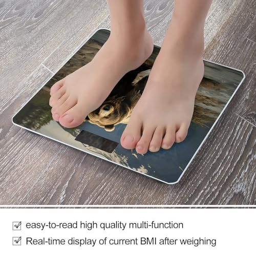 Balanza Digital Brown Bear de Alta Precisión para Baño miniatura 5