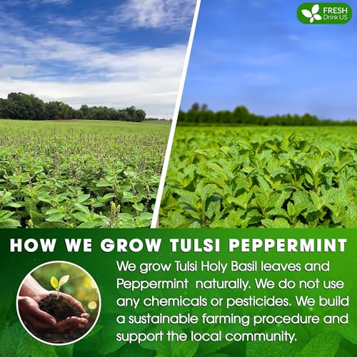 Image of FreshDrinkUS, Premium Tulsi Peppermint Herbal Tea - 135 Tea Bags, 100% Natural, Blend of Tulsi Holy Basil Leaves, and Peppermint Leaves. Made with Natural Material Tea Bags. No Sugar, Vegan.