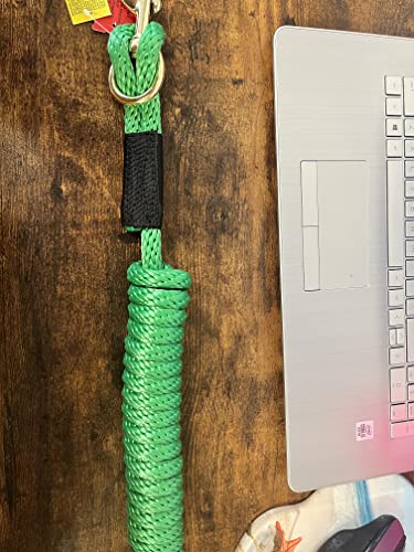 Pink Nylon Training Lead Rope Leather Ends 14' w/Brass Snap Showman