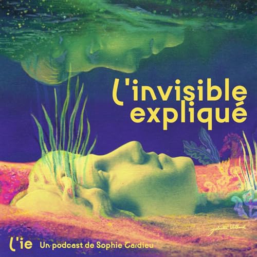 L'invisible expliqué Titelbild