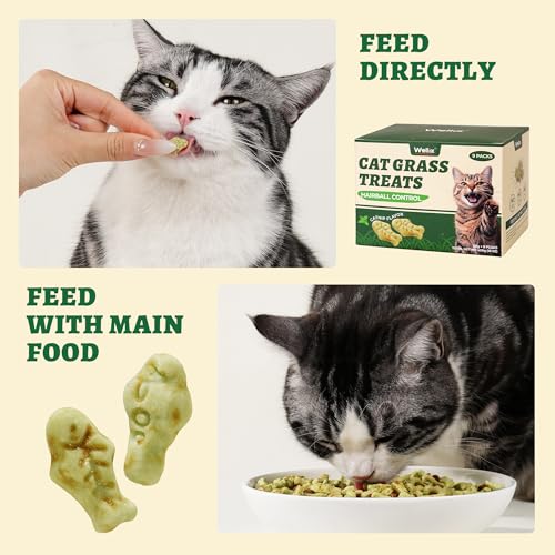 Wellix-450g16oz-Cat-Grass-Treats-Healthy-Kitten-Snacks-Natural-Salmon-Flavor-Dental-Cleaning-and-Hairball-Control-Catnip-Training-Biscuits-for-Indoor-Cats