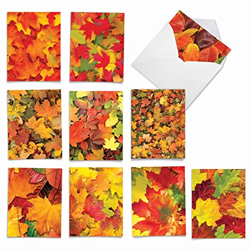 Image of The Best Card Company - 10 Beautiful Note Cards Blank (4 x 5.12 Inch) - Fall and Autumn Season, Boxed Notecard Assortment - Leaf a Message M2009