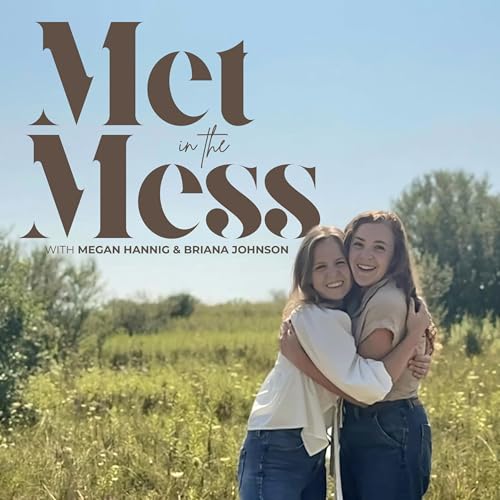Couverture de Met in the Mess