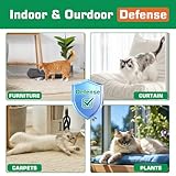 Cat Deterrent Spray, Natural Ingredients Cat Spray Deterrent for Cats and Kittens, Safe Cat Deterrent Indoor, Cat Urination Deterrent for Furniture Protection, Effective Cat Scratch Deterrent Training (100ML, Orange)