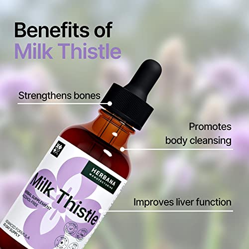 Milk Thistle 2 Fl Oz Liquid Extract - Natural Liver Support Drops - Cleanse And Detox Herbal Supplement - Silybum Marianum Tincture For Man & Woman - Family Size - High Potency - 45-Day Supply #TOP2