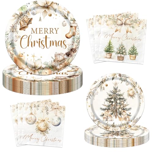 Christmas Paper Plates and Napkins, Vintage Plates Napkins Disposable Holiday Party Supplies for Christmas Party Decorations, Serve 20