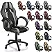 TRESKO® Chaise Fauteuil siège de Bureau Racing Sport rayé Ergonomique inclinable accoudoirs rembourrés, de 13 Couleurs différentes, Lift SGS contrôlé (Noir/argenté)