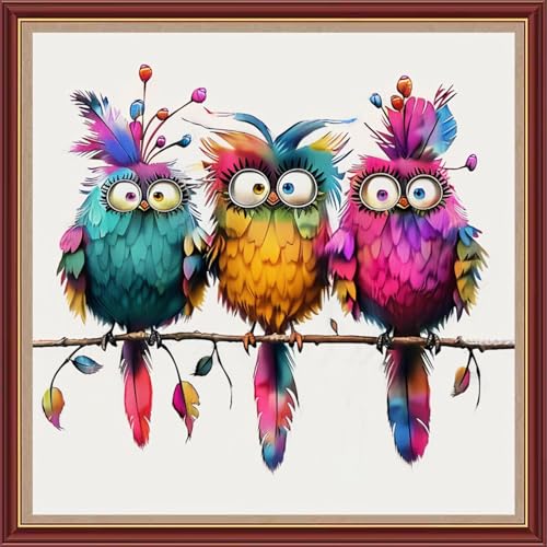 Image of Fanxvivy Stamped Cross Stitch Kits for Beginners Full Range of Cross Stitching Preprinted Embroidery Kits for Adults, 11CT Embroidery Pattern Needlepoint Kits-Colorful Birds 18x18 inch