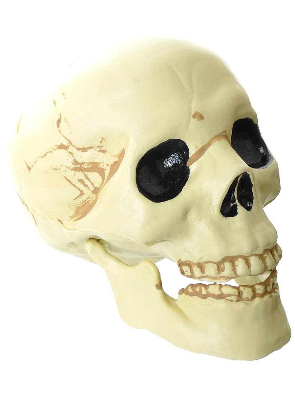 Amazon.com: amscan 1 pc. Jointed Mouth Plastic Skull Decor