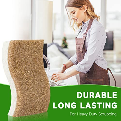 Aerozz 10 Pack Biodegradable Sponges - Sponges Kitchen Natural Sponges For Dishes Natural Sponge Dish Sponge - Eco Friendly Sponges Natural Kitchen Sponge #TOP5