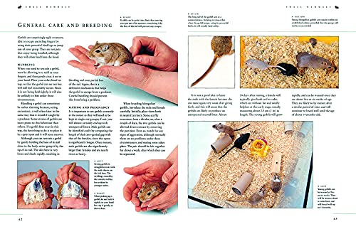 The Complete Practical Guide To Small Pets And Pet Care: An Essential Family Reference To Keeping Hamsters, Gerbils, Guinea Pigs, Rabbits, Birds, Reptiles And Fish #TOP3