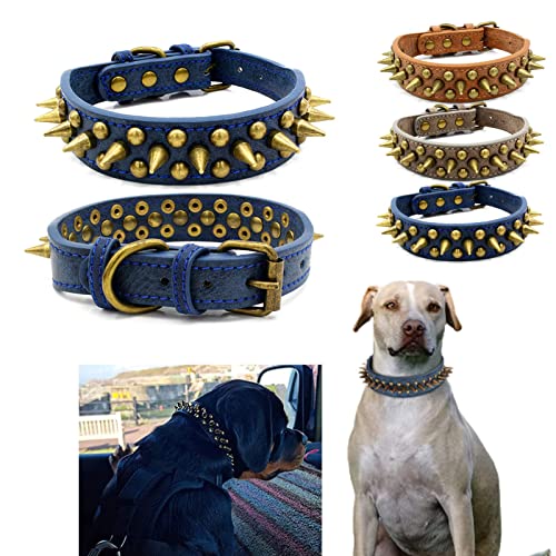 Collier chien à clou Top 10 de 2024 Comparatif des Meilleurs Maveo.fr