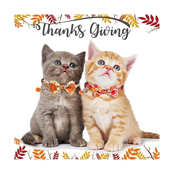 Adoggygo thanksgiving cat collars with bow bell, breakaway cat collar with bowtie pumpkin cat kitten collar for girl boy cats kittens (thanksgiving) - image 5