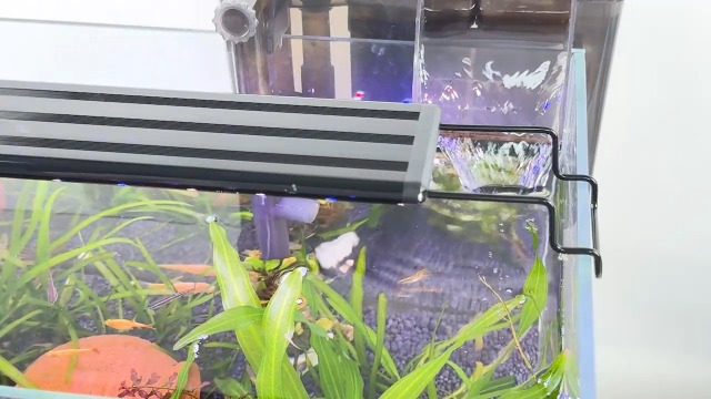 Image of FEDOUR USB Mini Aquarium LED Light, Full Spectrum Aquarium Light with Extendable Brackets, Adjustable Aquarium Plant Light with External Controller, for Freshwater Tank (11-16in)