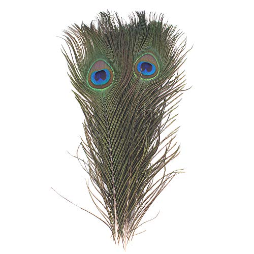 Featured Real Natural Peacock Feathers Bulk 10-12 Inches (25-30Cm) Great Decorations For Christmas Halloween Home Party Wedding Centerpieces (Natural 10Pcs) #TOP2