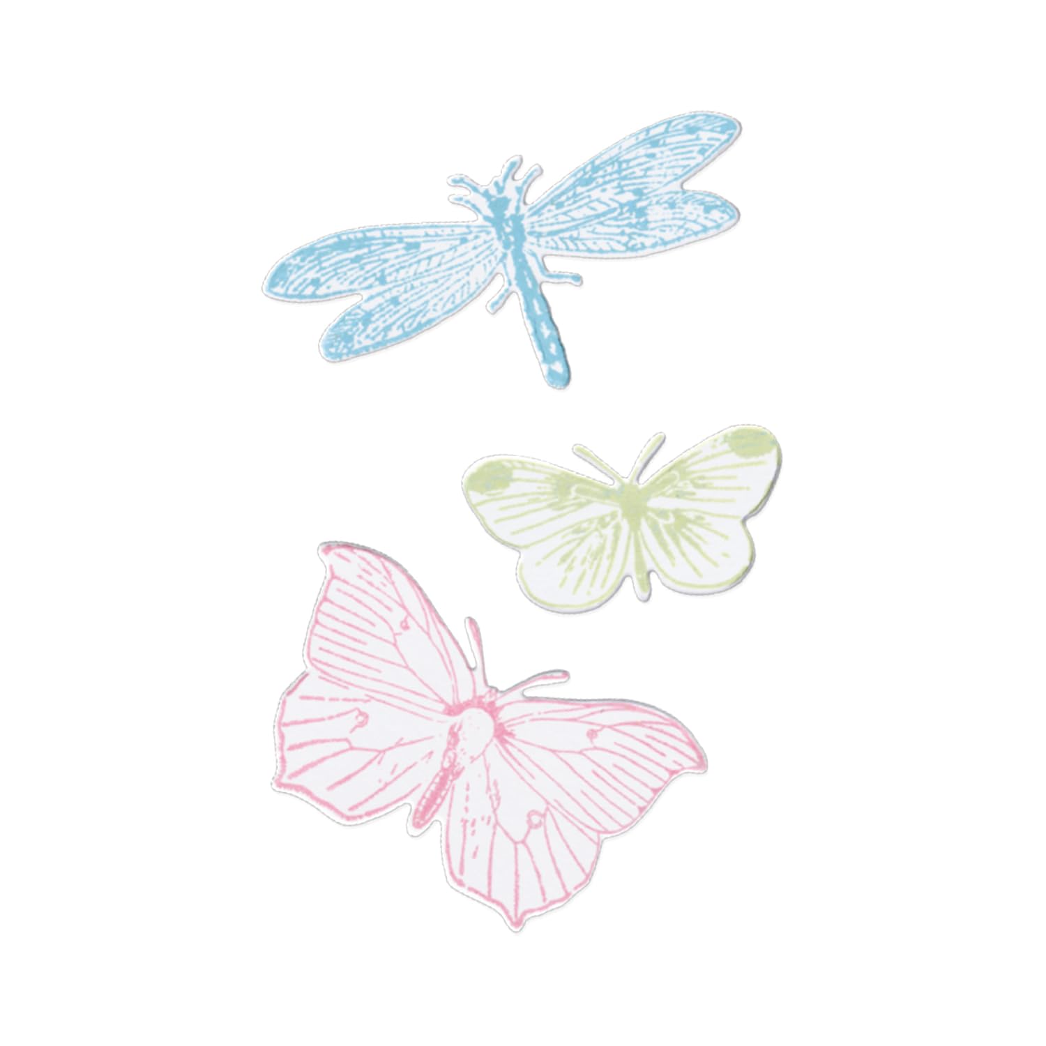 Sizzix Framelits Dies & Stamps - Engraved Wings by 49 and Market