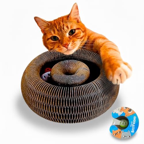 Rizos Bestfriend Juguete Rascador Interactivo para Gatos - El último Ejercicio Mental y físico Interactivo para Gatos de Interior (1 Unidad)