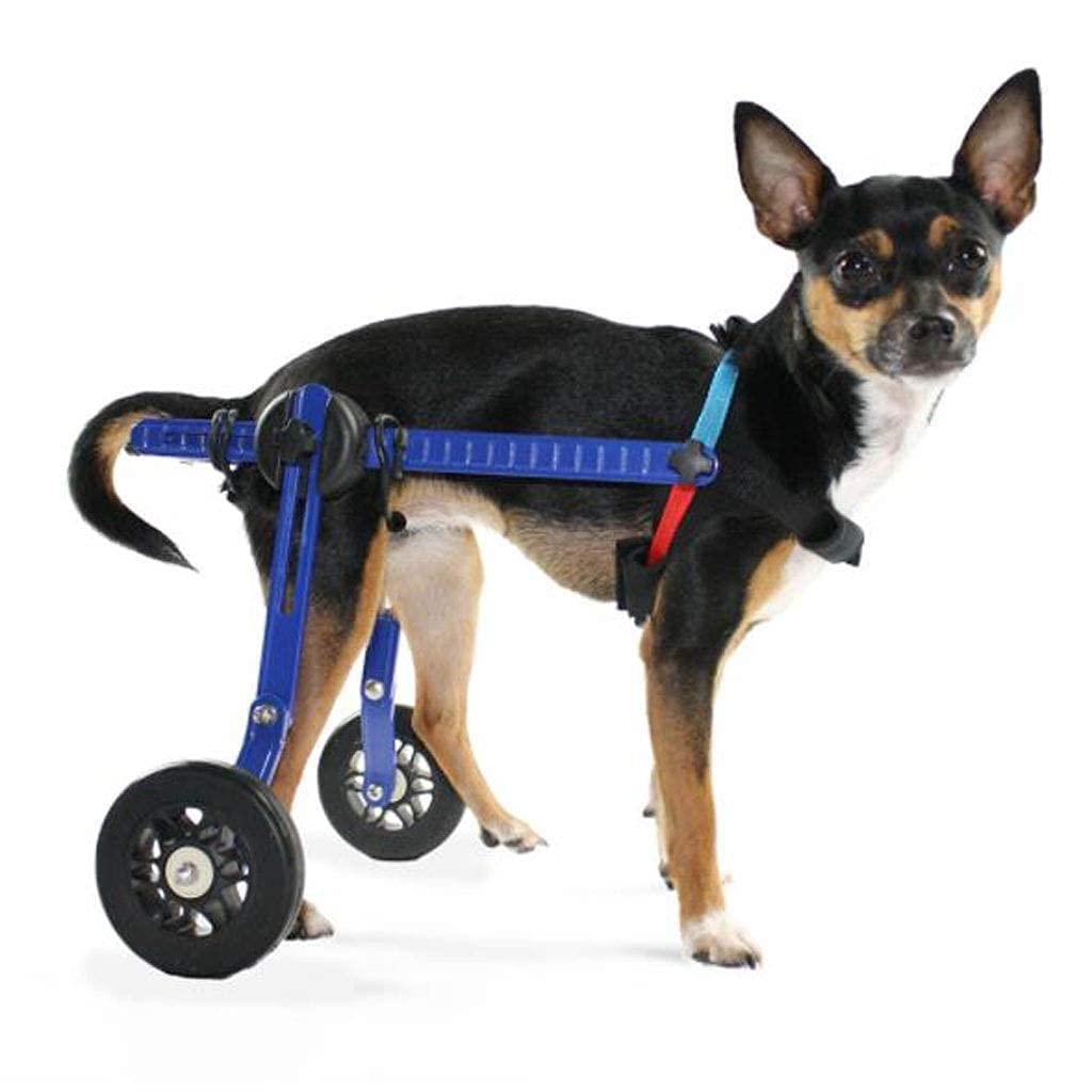 Amazon.co.jp: この犬用車椅子は、高さ、長さ、幅を調整して、ペットが