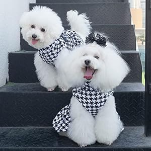 CuteBone Turtleneck Dog Velvet Dress Puppy Skirt Costume Pet Clothes Cat Apparel with Bow Hair Rope for Small Dogs CVD04S CuteBone Turtleneck Dog Velvet Dress Puppy Skirt Costume Pet Clothes Cat Apparel with Bow Hair Rope for Small Dogs CVD04S