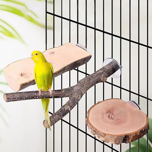 Image of 4PCS Bird Perches Parrot Stand Toys Platform Cage Accessories Paw Grinding Fork Branches Chewing Exercise Stick for Parakeets Cockatiels Conures Budgies Macaws Parrotlets Lovebirds Finches