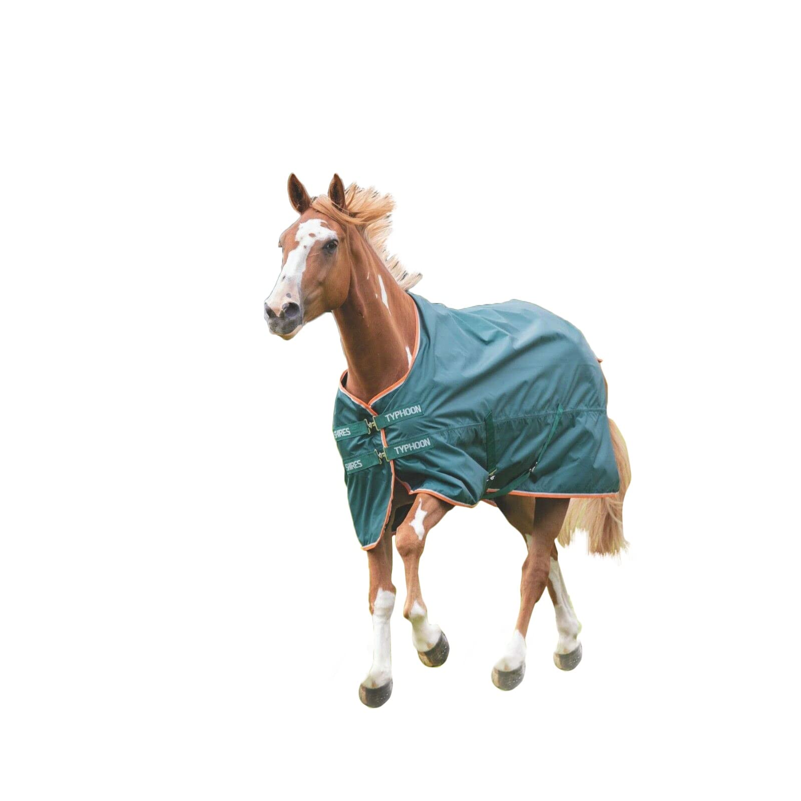 Shires Typhoon Lite Turnout Rug - Green 4ft6