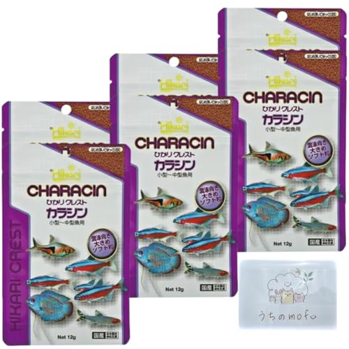 �L���[���� �q�J �� �Ђ� ��N���X�g �J���V�� 80g 6�� �N���X�g �M�ы� �a �G�T + ������mofu����|�P�b�g�e�B�b�V���t��