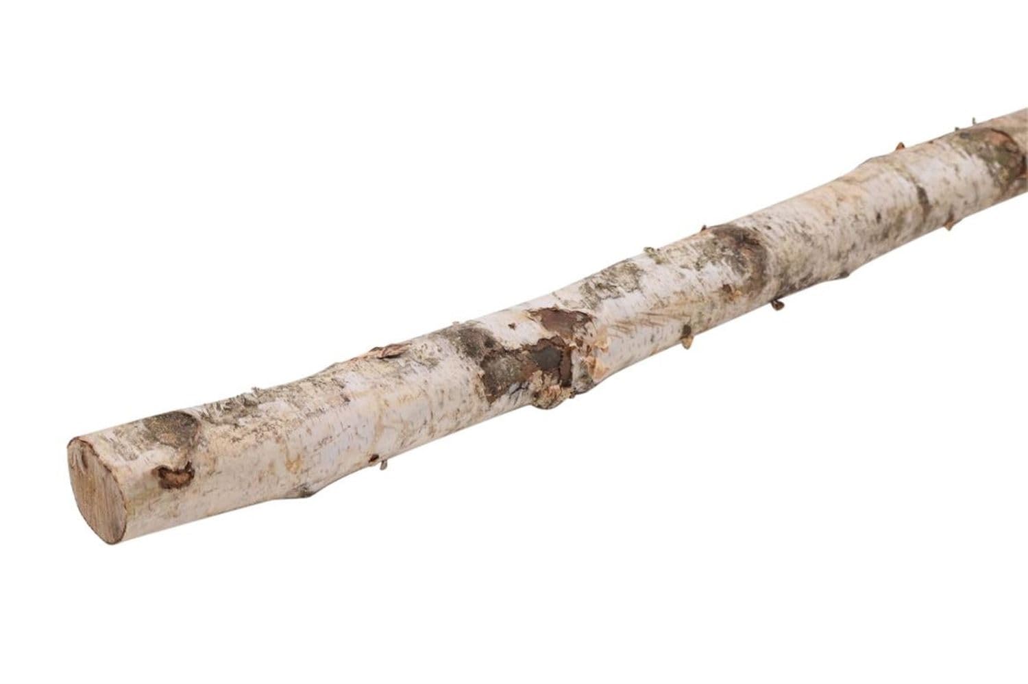 INNA-Glas Birke Dekostamm CALAM, Natur, 150cm, Ø4cm - Birkenstamm