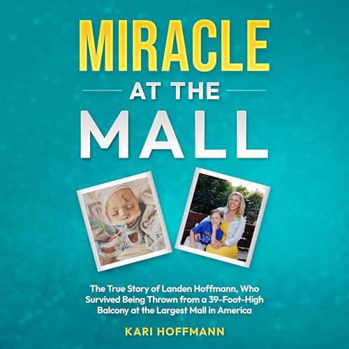 Kari Hoffmann's Miracle at the Mall episode artwork